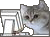 :pacze: