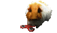 dzidziaspinner.gif