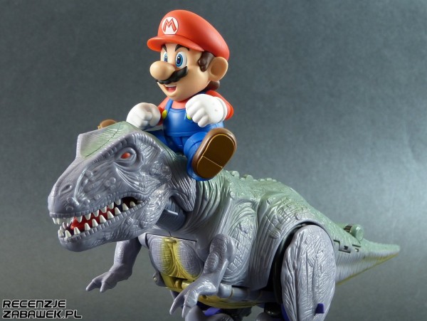 [Obrazek: shf-mario-galeria-27-600x451.jpg]