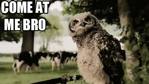 [Obrazek: tumblr_llo4bzU2LP1qbbc6wo1_500.gif]