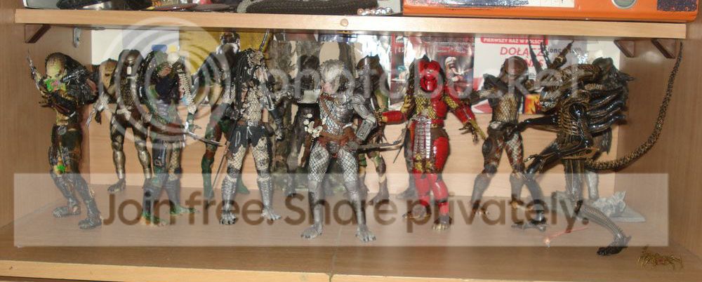 [Obrazek: AVP1.jpg]