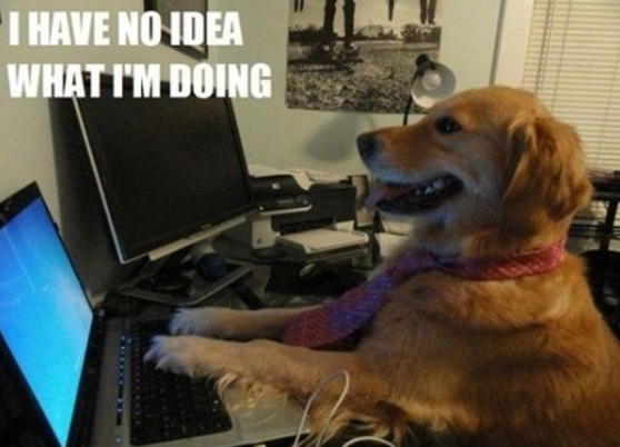 [Obrazek: 2012-09-01_1646.png]