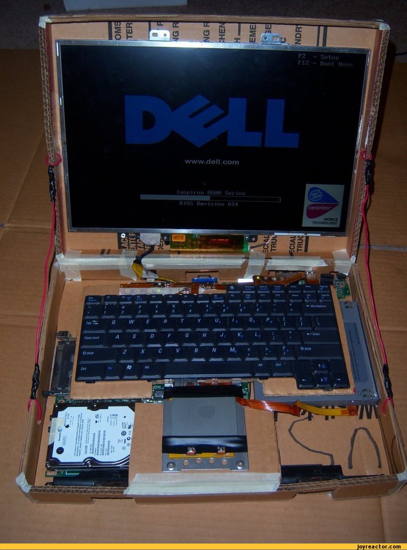 [Obrazek: funny-pictures-auto-photo-laptop-385230.jpeg]